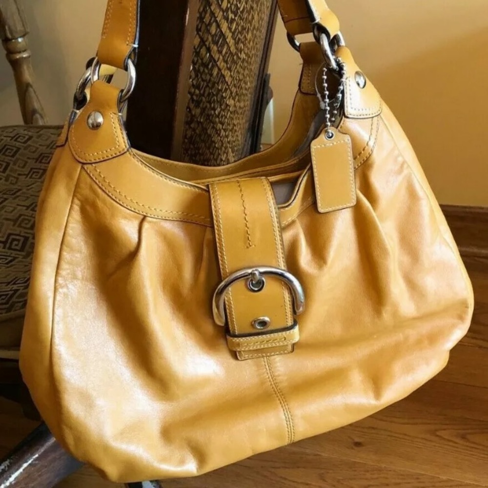 COACH LYNN BOHO BAG